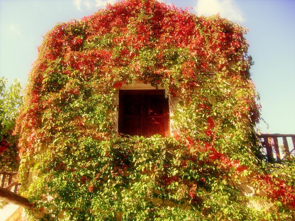 Gasthaus Manoli'S House Douliana Zimmer foto